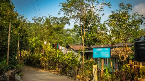 Everything You Need To Know About Mawlynnong: The Cleanest Village in India