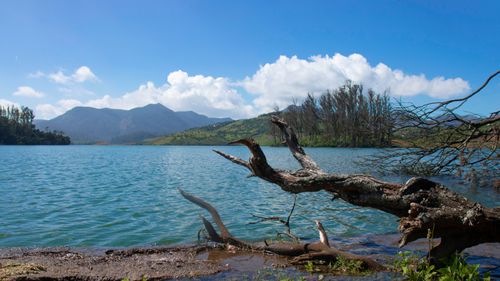 Ooty's Stunning Lakes: A Nature Lover's Guide