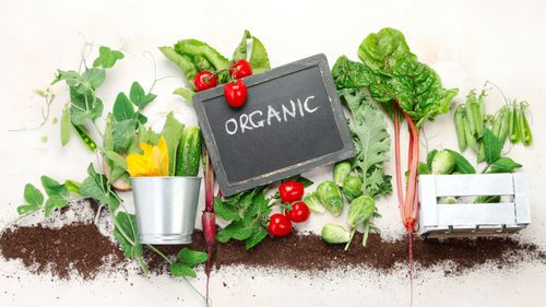 Elevate Your Well-Being By Discovering These Health Benefits of Organic Food
