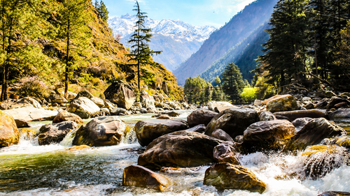 8 Places To Explore the Café Culture Of Parvati Valley 