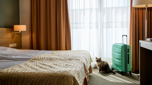 India's Best Pet-Friendly Hotels You Should Know About