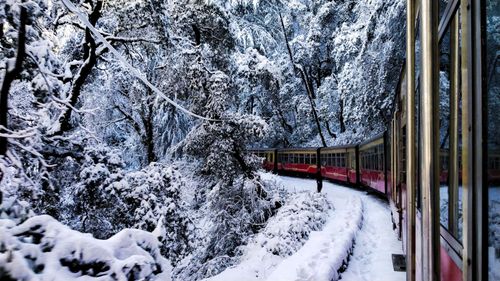 9 Best Places In India To Visit In Winter 