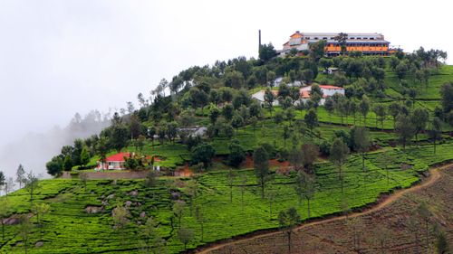 10 Things To Do In Coonoor