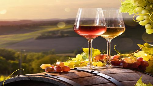 5 Wineries In Bengaluru You Must Visit I Zee Zest