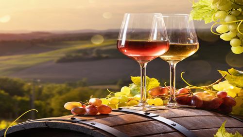 5 Beautiful Wineries Around Bengaluru For A Day Of Wining And Dining
