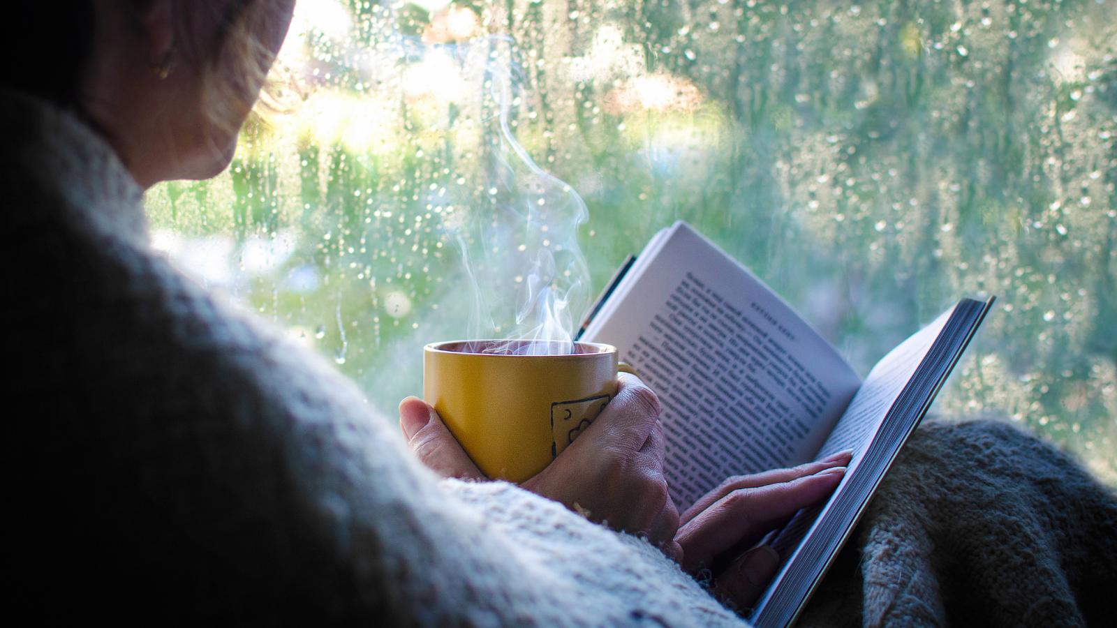 7 Exciting Books to Read on a Rainy Day