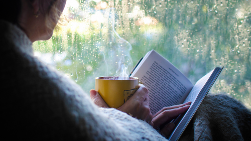 15 Book Recommendations For A Rainy Day Reading Session