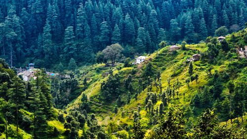 Experience Pure Bliss With The Top Places To Visit & Things To Do In Ranikhet