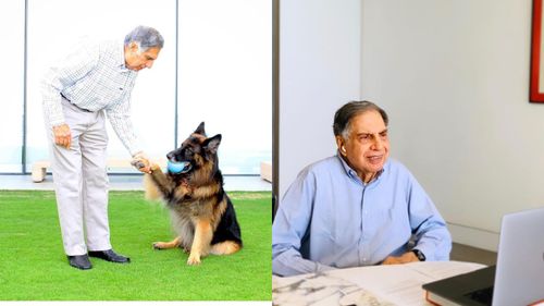 Lesser Known Details About The Gorgeous Ratan Tata House In Mumbai