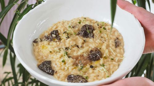 Mastering The Risotto Recipe Right in Your Kitchen