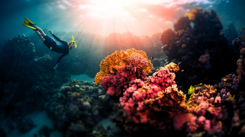 World Ocean Day Special: 7 Places In India To Go Scuba Diving  
