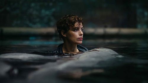 Shark Movies You Probably Missed But Should Definitely Watch!