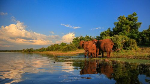 Natural Diversity At Its Best: Discover These National Parks In Africa