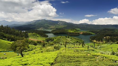 Tamil Nadu Hill Stations: Tranquil Retreats To Explore These Holidays