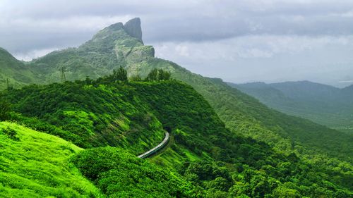 Enjoy The Beauty Of The Western Ghats From The Vistadome Rail Coach 