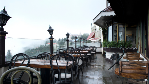 Savor the Flavors of Darjeeling: A Guide to Top Restaurants & Local Delights