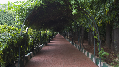 7 Best Botanical Gardens In India