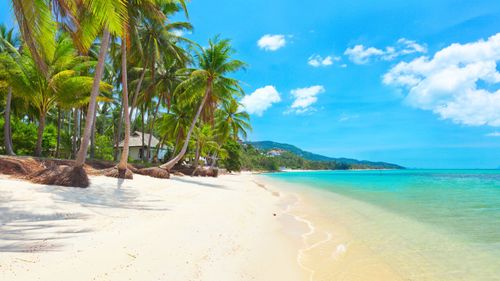 Plan The Best Trip To Koh Samui: Things To Do, Sightseeing And Tourist Delights
