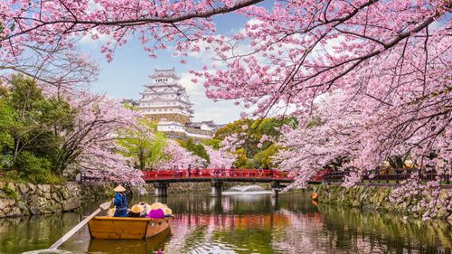 Places To Visit In Japan: Top Tourist Attractions & Unforgettable Experiences