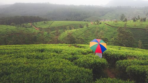 Beyond The Beaches: Head To Nuwara Eliya In Sri Lanka For A Soothing Escape
