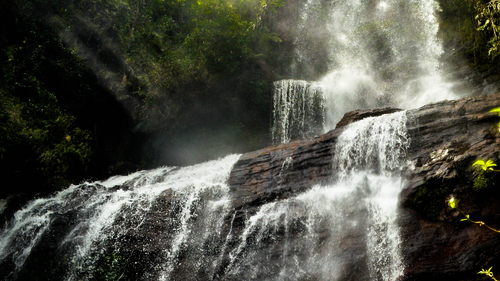 Coffee Museum, National Park And More: Places To Visit In Chikmagalur