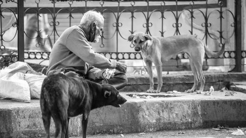 Supreme Court Order On Removing Stray Dogs Sparks Nationwide Debate