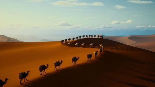 Looking For A Unique Adventure? Check Out These Countries With The Largest Deserts In The World