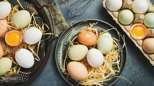 Brown Eggs Or White Eggs? Choose Better With This Quick Guide