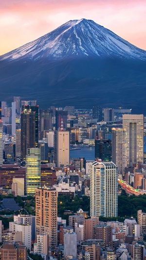 Confused About New Rules? This Simple Guide Will Make Your 2026 Japan Trip Easier