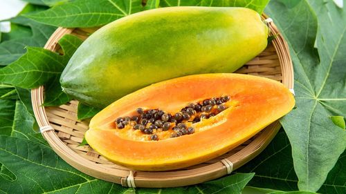 Why Papaya Leaves Deserve A Spot In Your Wellness Routine