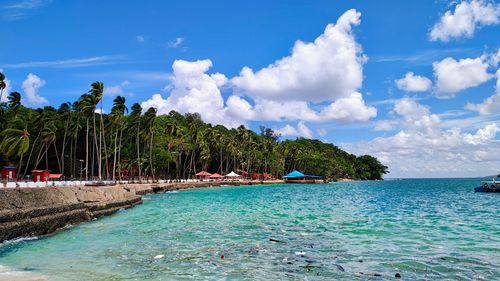 Andaman And Nicobar Light Up As Island Festival Begins! 