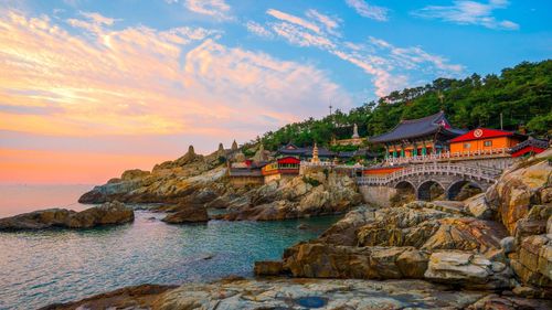 South Korea Extends Group Visa Fee Waiver For Indians