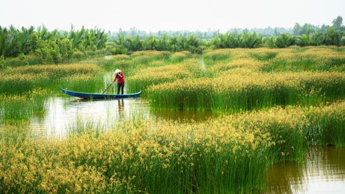Breathtaking Wetlands From Across The Globe You Need To See!