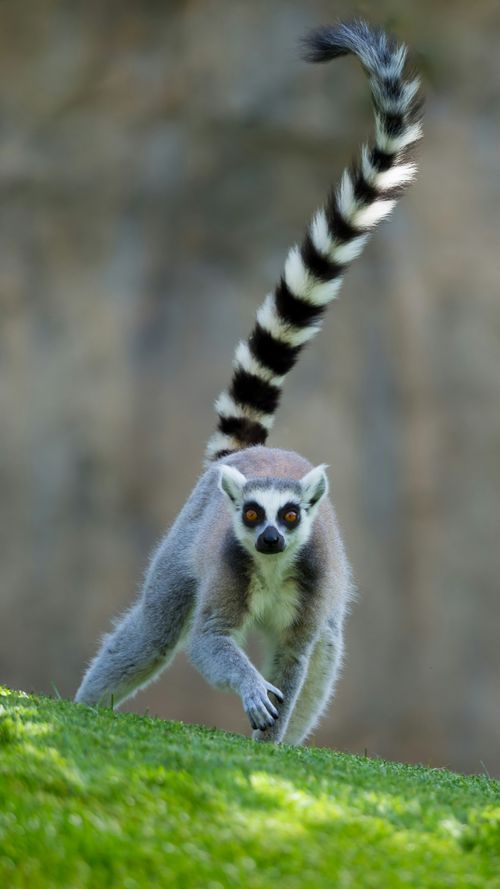 The World's Biggest Islands That Aren't Tourist Hotspots (Yet)!