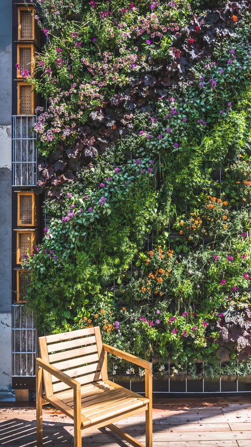 Here's Why Vertical Gardening Is Perfect For Small Homes