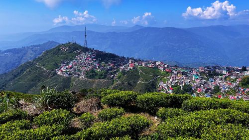 Tea Gardens, Fruit Orchards, And Stunning Sights: Visit Kurseong