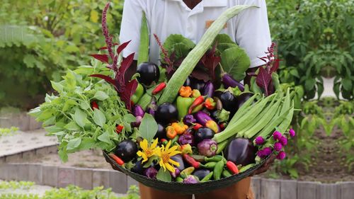 Have You Experienced The Earth Basket At The Residence Maldives At Dhigurah?