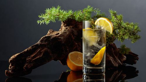 8 Easy To Make Gin And Tonic Recipes To Add To Your Drinks Menu
