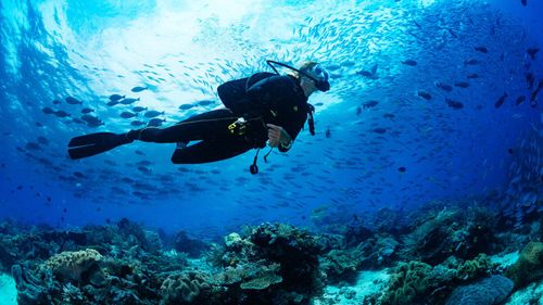 Explore The Underwater Wonders With Lakshadweep's Scuba Adventures 