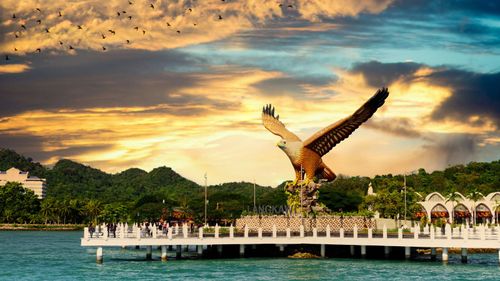Discover The Enchanting Mangroves Of Langkawi In Malaysia