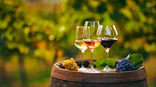 8 Premium And Expensive Wines To Try In India