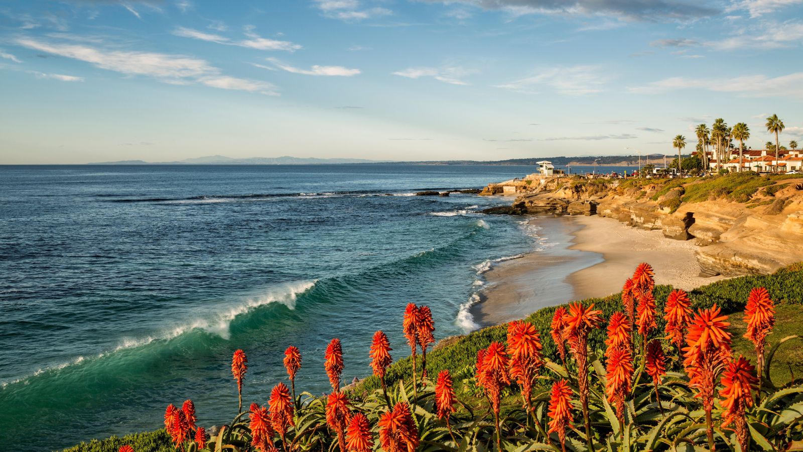 Top Things To Do In San Diego | Zee Zest