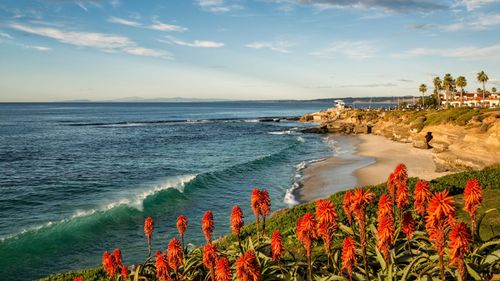  Indulge In The California Vacation With These Best Things To Do In San Diego