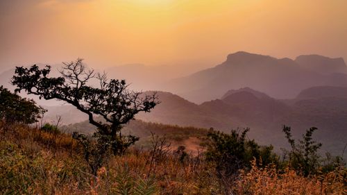 Pachmarhi Top Tourist Places, Must-See Attractions & Things to Do
