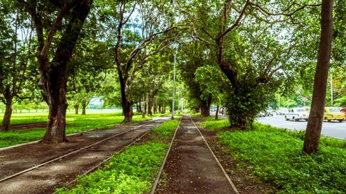 In The Lap Of Nature: Checkout Parks In Kolkata