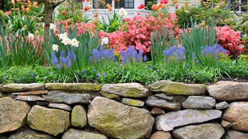 The Ultimate Guide To Choosing The Perfect Garden Border Plants