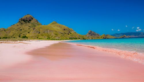 Komodo Island: Encounter The Dragons, Explore Activities & Wonders 