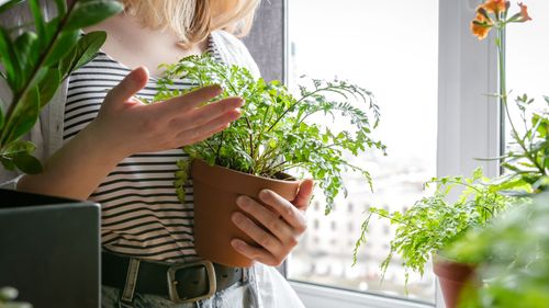Boost Your Plant Game With These Apps And Smart Tools