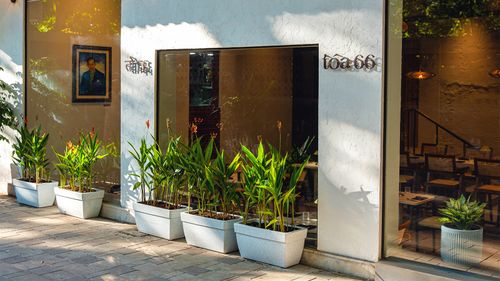 No Meat, No Fuss, No Compromise: At TOA 66, Thai Food Finally Gets Its Green Moment