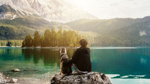Make Travelling Overseas A Pleasant Memory For You And Your Pet